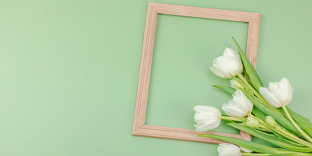 White tulips and wooden frame on a pastel green background. Blooming flowers, festive concept for Mother's Day or Valentine's Day. Greeting card, Easter flat lay, best wishes, banner formatの写真素材