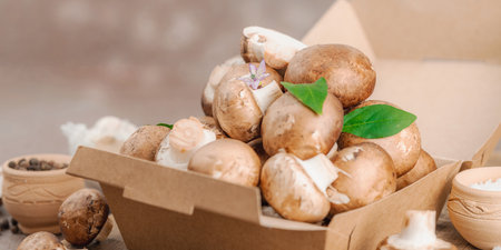 Fresh raw cremini mushrooms with spices and herbs. Healthy ingredient for cooking vegan food. Farm to table concept, flat lay, warm brown background, banner formatの写真素材