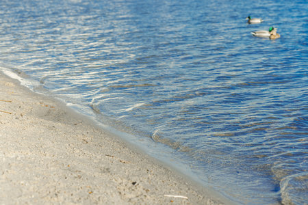 Scenic view of the Dnipro River in Kyiv with soft waves, wet sand, and clear blue water under sunlight. Peaceful natural atmosphere perfect for travel, nature, and landscape conceptsの写真素材