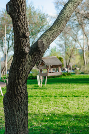 Handmade wooden birdhouse hanging on a tree in a sunny park. Perfect symbol of eco-lifestyle, gardening, and nature care. Spring outdoor concept, wildlife-themed designsの写真素材