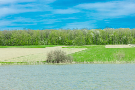 Peaceful spring pond surrounded by green grass, reeds, and blooming trees in rural farmland with...