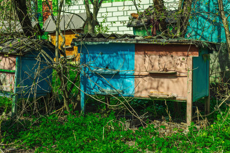 Abandoned traditional beehives near rural home. A symbolic image of global bee population decline...