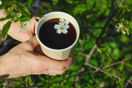 Craft paper cup of coffee with cherry blossoms, held by female hands outdoors with green background. Eco lifestyle, floral drinks, spring aestheticsの写真素材