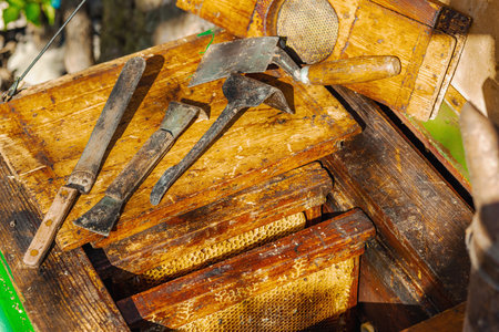 Traditional beekeeping tools, highlighting sustainable beekeeping and efforts to protect bee populations from climate change and global warmingの写真素材