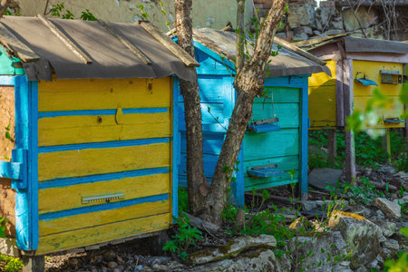 Beehives with bees flying out, set in a natural environment. Highlights global bee population decline, ecological responsibility, and the growing trend of home-based beekeepingの写真素材