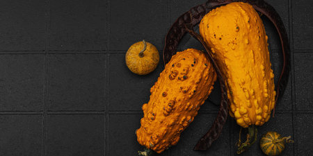 Organic ornamental pumpkins with textured skin and cut slices on dark background. Natural vegetables concept, farm-to-table and eco food trend, black background, banner formatの写真素材