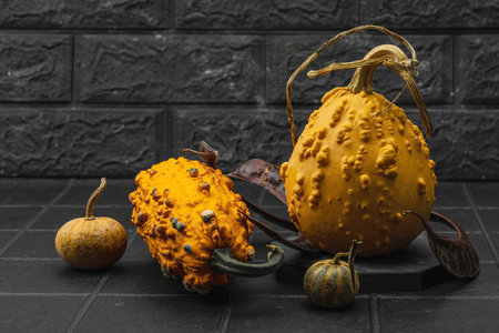 Organic ornamental pumpkins with textured skin and cut slices on dark background. Natural vegetables concept, farm-to-table and eco food trend, black background, copy space