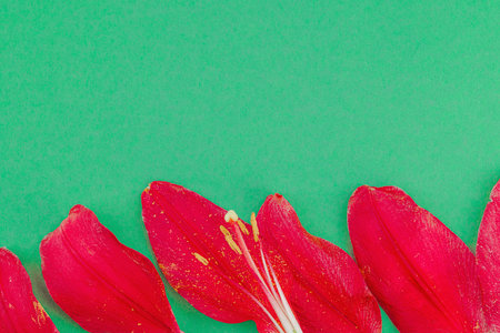 Pink lily flower petals on green background, copy space. Minimal natural floral composition for...