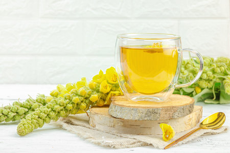 Glass cup of mullein herbal tea on natural wooden background with fresh yellow Verbascum thapsus...