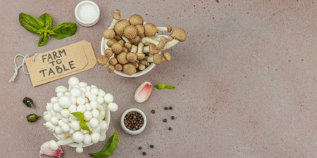 Fresh assorted shimeji mushrooms with olive oil, basil, garlic, salt, and pepper on rustic kitchen background. Vegan ingredient for healthy eating, food concept, banner formatの写真素材