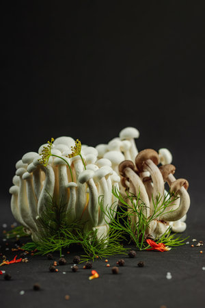 Closeup of two varieties of beech mushrooms, fresh Shimeji arranged like a mysterious forest with dill herbs, spices, on black background. Organic vegan food concept with artistic natural atmosphereの写真素材