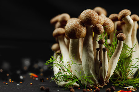 Closeup of beech mushrooms, fresh Shimeji arranged like a mysterious forest with dill herbs, spices, on black background. Organic vegan food concept with artistic natural atmosphereの写真素材