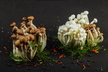 Closeup of two varieties of beech mushrooms, fresh Shimeji arranged like a mysterious forest with dill herbs, spices, on black background. Organic vegan food concept with artistic natural atmosphereの写真素材