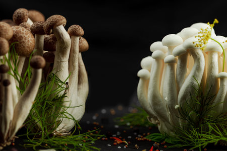 Closeup of two varieties of beech mushrooms, fresh Shimeji arranged like a mysterious forest with...