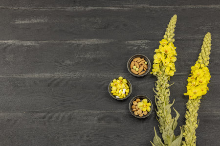 Assorted dietary supplements, vitamins, and herbal medicine capsules with fresh mullein (Verbascum)...