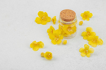 Fresh Verbascum flowers in a small glass jar. Alternative medicine, traditional herbal ingredient,...