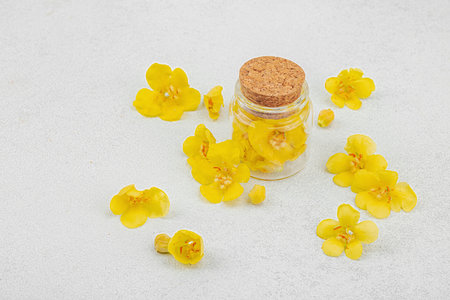Fresh Verbascum flowers in a small glass jar. Alternative medicine, traditional herbal ingredient,...