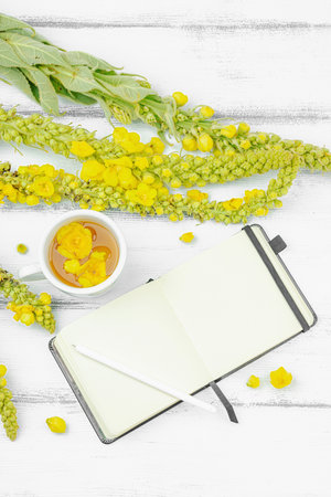 Cup of herbal tea with mullein flowers and blank notebook with pen on white wooden table. Cozy...