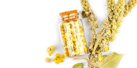 Verbascum thapsus dried flowers isolated on white background. Herbal plant for alternative natural medicine and apothecary concept, banner formatの写真素材