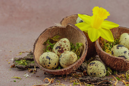 Eco-friendly Easter still life with coconut shell nests filled with green moss and speckled quail...