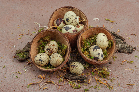 A rustic Easter still life composition with organic coconut shell nests. Green moss and speckled...