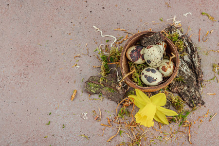 Eco-friendly Easter still life with coconut shell nests filled with green moss and speckled quail...