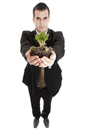 Isolated business man holding a plantの写真素材