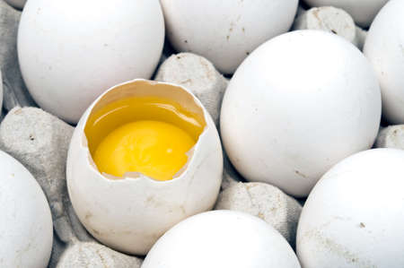 isolated full egg carton on whiteの写真素材