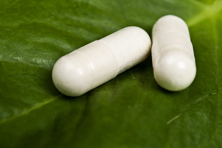 Pills on an green leafの写真素材