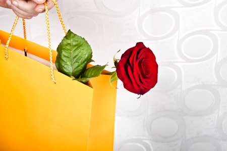 Rose and yellow gift bagの写真素材
