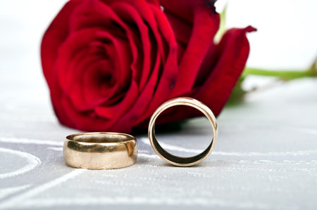 Rose and wedding rings on white silkの写真素材