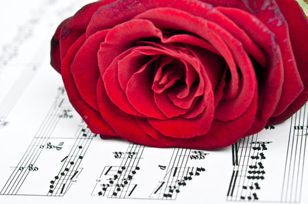 Red rose and musical scoreの写真素材