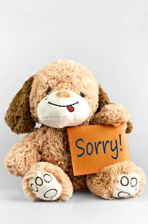 Sorry message and toy on whiteの写真素材