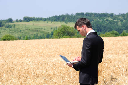 Business man with laptop in wheatの写真素材