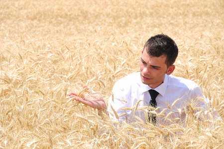 Business man standing in wheatの写真素材