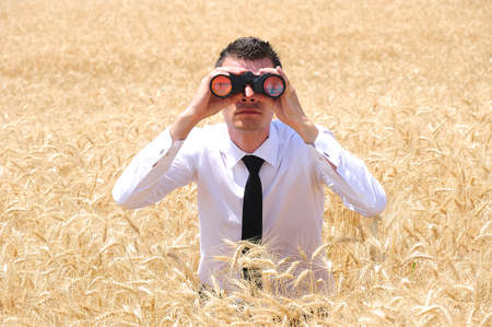 Business man with binocular in wheatの写真素材