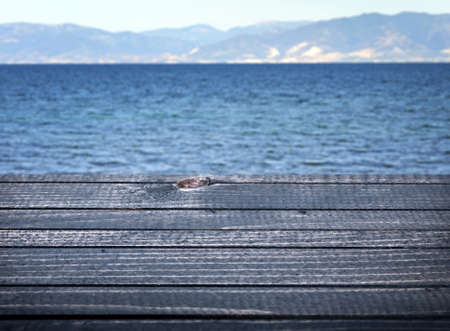 Empty wooden table andの写真素材