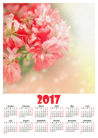 Calendar 2017 template with geranium pelargonium flowers plantの写真素材