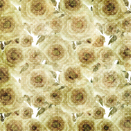 Grunge romantic blurred roses background pattern texture printの写真素材