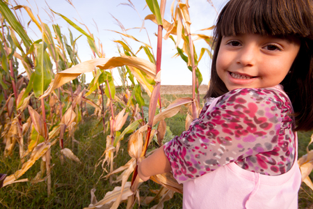 girl with plant of cornの写真素材