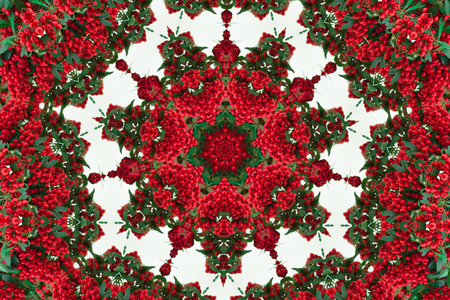 Beautiful pattern from natural reb berries with green foliage. Abstractionの写真素材