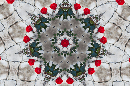 Beautiful bright red roses with green leaves against the background of a old stone wall. Abstractionの写真素材