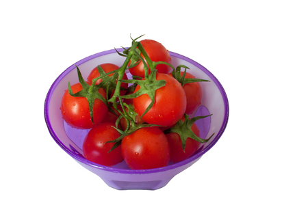 Ripe little tomatoes in drops of water on a green fresh branch in a violet bowl. Bunch a cherry tomato. Isolateの写真素材
