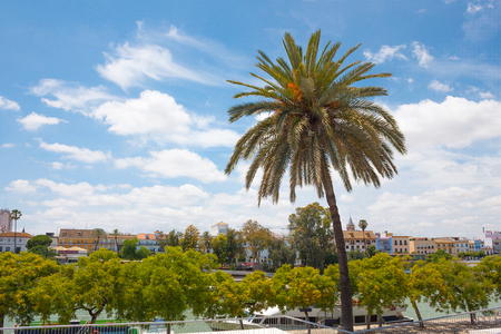 Beautiful view from the park near the Golden Tower (Torre del Oro) on the river Guadalquivir and the Triana on the backgound on blue sky and white clouds. Summer travelの写真素材