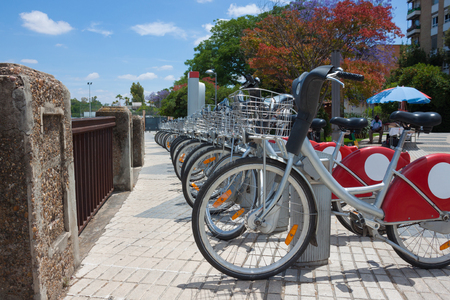 A lot of bycicle for rent are parked in the park on a sunny day. Green and orange trees and blue sky in the city park in Spainの写真素材