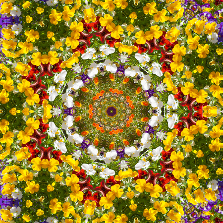 Beautiful colorful flowers in summer day. Floral background from viola tricolor with green leaves.  Kaleidoscope, color pattern, backgroundの写真素材