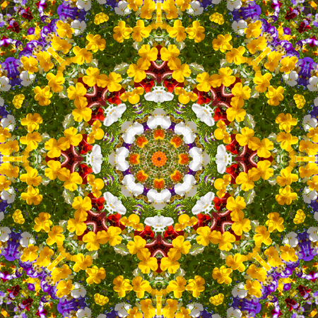 Beautiful colorful flowers in summer day. Floral background from viola tricolor with green leaves.  Kaleidoscope, color pattern, backgroundの写真素材