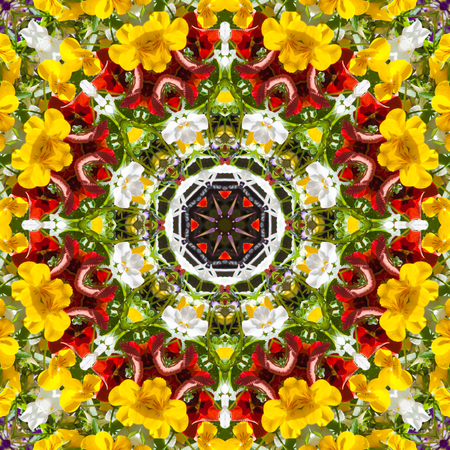 Beautiful colorful flowers in summer day. Floral background from viola tricolor with green leaves.  Kaleidoscope, color pattern, backgroundの写真素材