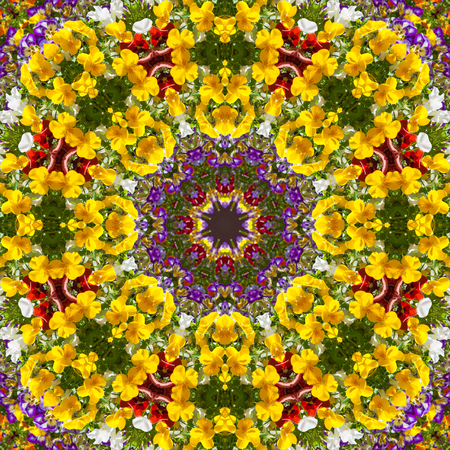 Beautiful colorful flowers in summer day. Floral background from viola tricolor with green leaves.  Kaleidoscope, color pattern, backgroundの写真素材