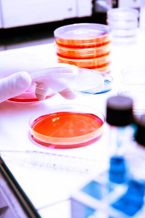 scientist analyzing virus in laboratory covid 19 blood and chemical reagent tube on hand coronavirus...